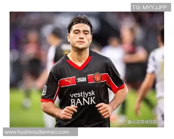 丹麦足球历史十大球星盘点 探索绿茵场上的传奇人物